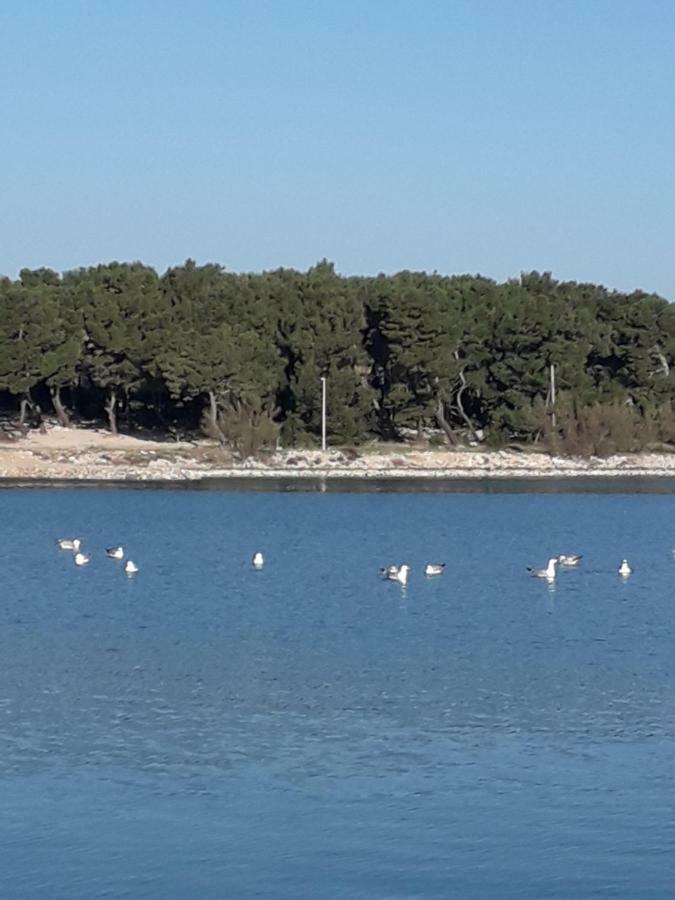 Apartmani MATKO Betina  Bagian luar foto