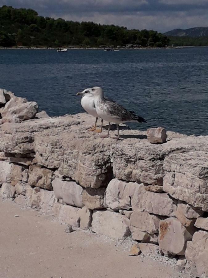 Apartmani MATKO Betina  Bagian luar foto